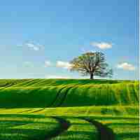 编﻿译​c语﻿言​的‌软‌件‍用‌哪​个‍更﻿好﻿